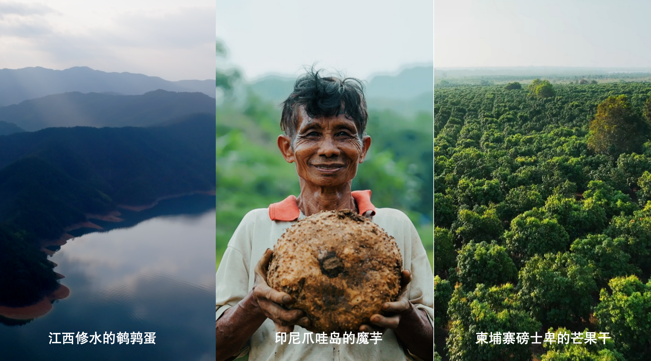 新春家書｜根深則葉茂，心定則路遠(yuǎn)