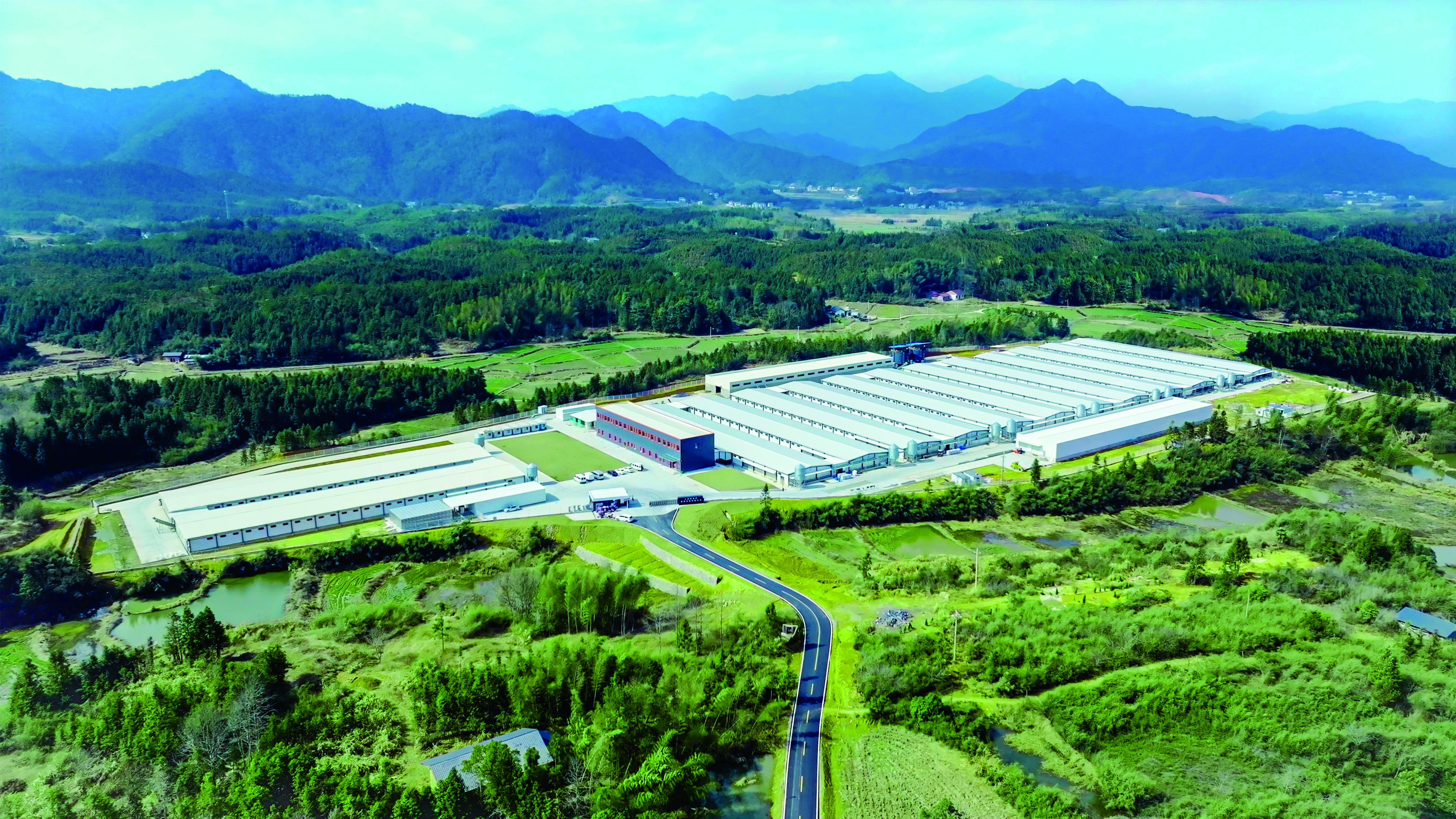 新春家書｜根深則葉茂，心定則路遠(yuǎn)